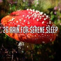 26 Rain for Serene Sleep