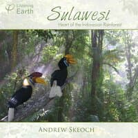 Sulawesi - Heart of the Indonesian Rainforest