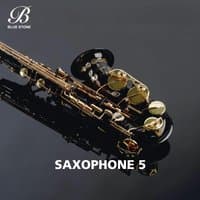 Saxophone, Vol. 5