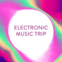 Electronic Music Trip