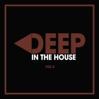 Deep in the House, Vol. 3