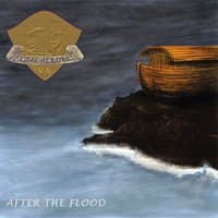 After the Flood