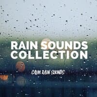 Calm Rain Sounds