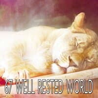 67 Well Rested World