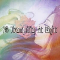 66 Tranquility At Night