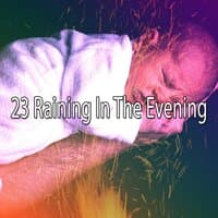 23 Raining in the Evening