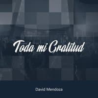 Toda Mi Gratitud