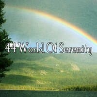 44 World of Serenity