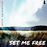 Set Me Free