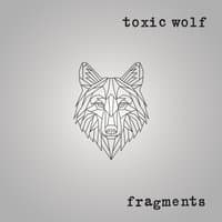 Fragments