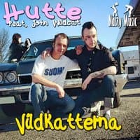 Vildkatterna