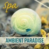 Spa Ambient Paradise – Music for Spa Massage, Massaging, Deep Relaxing Ambient