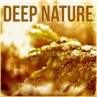 Deep Nature – Soothing Music, Relaxing Ocean Waves Sounds, Calming Nature Sounds, White Noise, Healing Music, Sleep Sounds, Tranquility, New Age