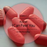 I Can Feel You